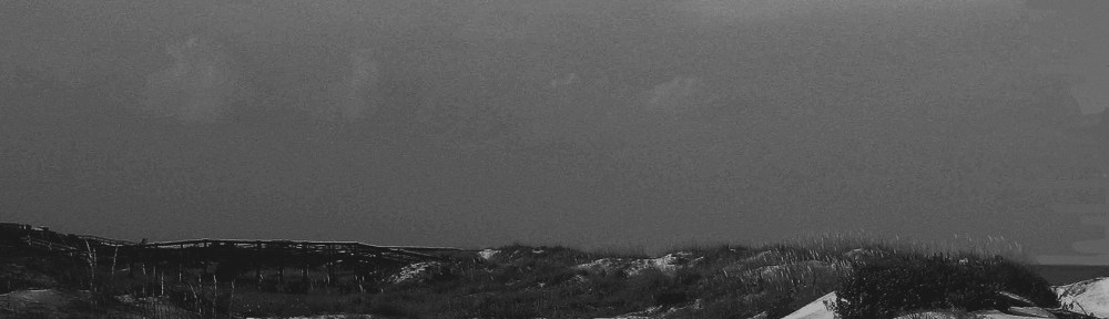 Tybee Dune Man